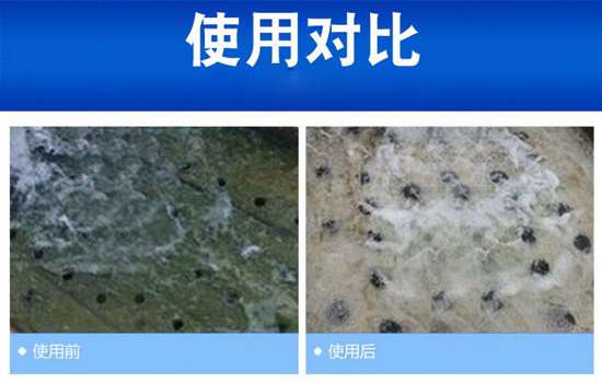 中浩遠(yuǎn)達(dá)|藻類(lèi)對(duì)循環(huán)冷卻水系統(tǒng)的危害
