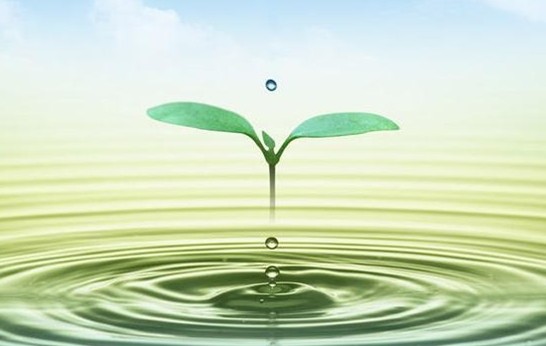 中浩遠達|微生物殺菌劑使用注意