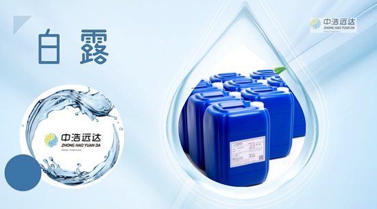 二十四節(jié)氣|白露·處暑無(wú)三日，新涼直萬(wàn)金